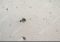 Featured image for Furniture Nail Holes? Hide Them Perfectly