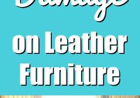 Featured image for Furniture Sun Damage? Prevent & Repair