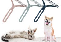 Featured image for Furniture Pet Hair Removal: Quick & Easy