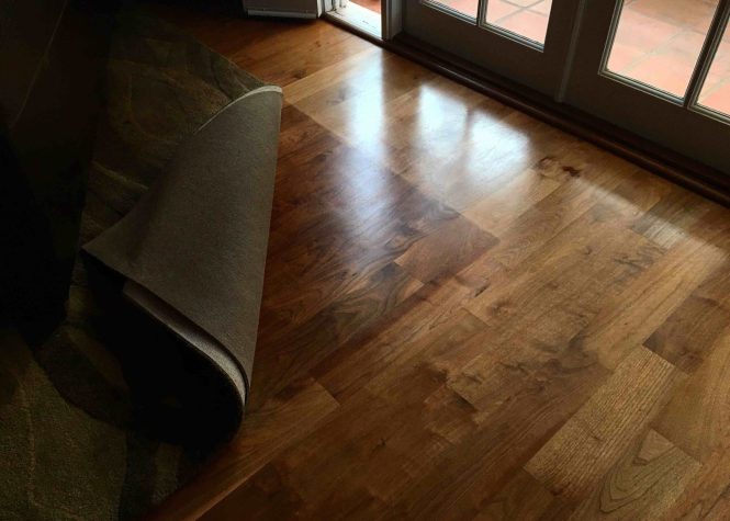 Featured image for Sun Damaged Floors? Restore Color & Shine