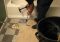 Featured image for Bathroom Floor Tiles Stained? Remove