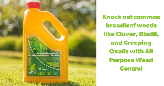 Featured image for Weeds Taking Over? Easy Weed Removal Solutions