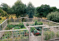 Featured image for DIY Garden Fence Repair: Keep Pests Out!