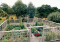 Featured image for DIY Garden Fence Repair: Keep Pests Out!