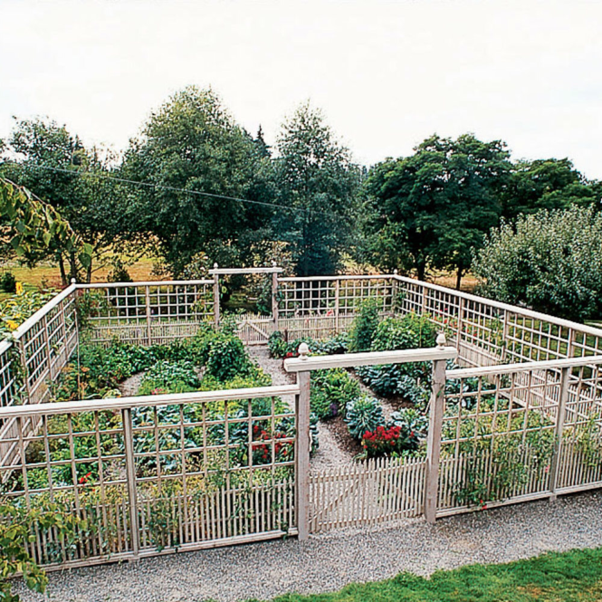 Featured image for DIY Garden Fence Repair: Keep Pests Out!