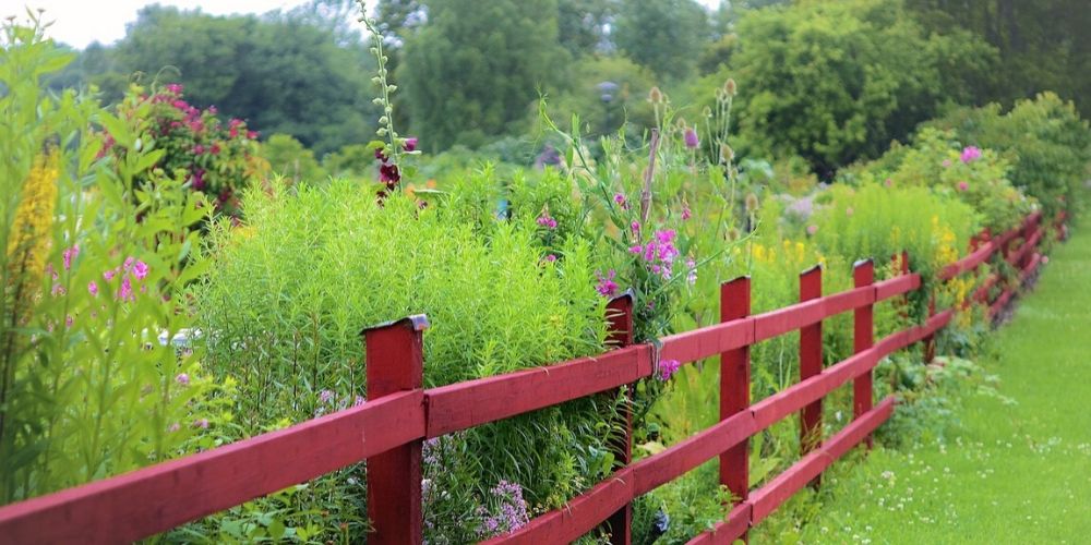 Content image for DIY Garden Fence Repair: Keep Pests Out!