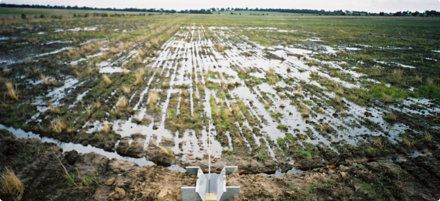 Content image for Waterlogged Garden Soil? Improve Drainage Now