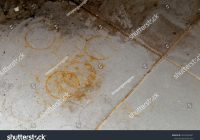Featured image for Floor Rust Stains? Get Rid of Them!