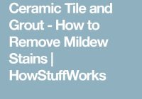Featured image for Floor Mildew Stains? Remove Them All