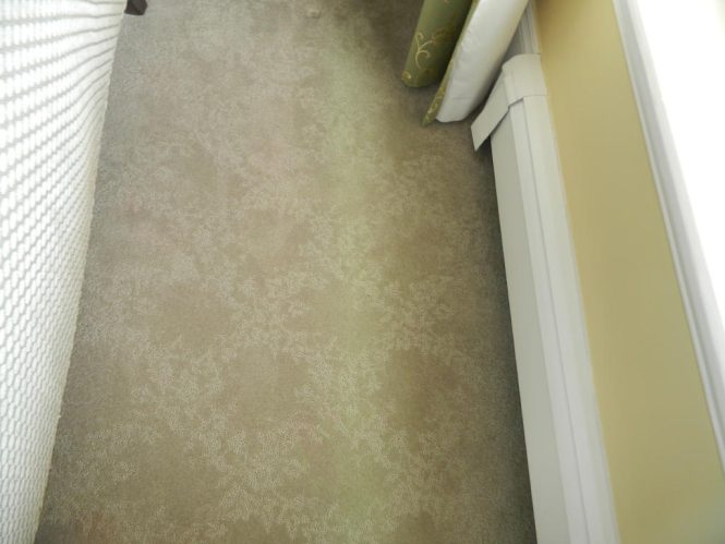 Featured image for Floor Color Fading? Revive It Fast!