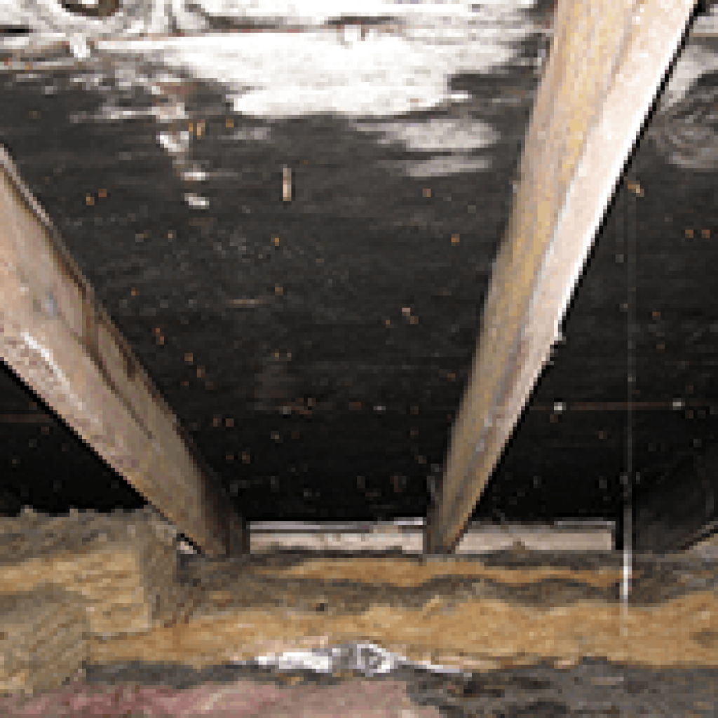 Content image for Mold on Roof? Remove It and Protect Your Home