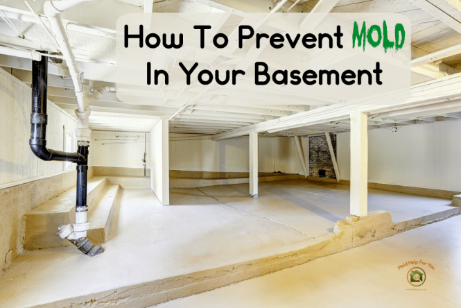 Featured image for Basement Mold? Remove & Prevent