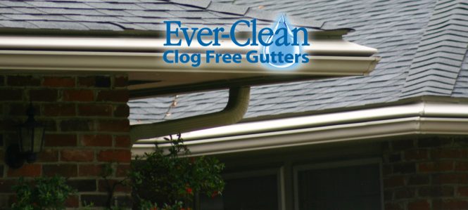 Featured image for Gutter Clogs? Clean Them Now