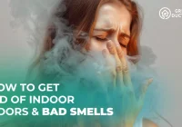 Featured image for Roof Smells Bad? Eliminate Odors Now