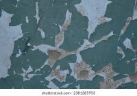 Featured image for Wall Rot Damage? Fix It Now