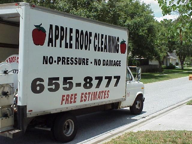 Featured image for DIY Roof Cleaning: Safe and Effective