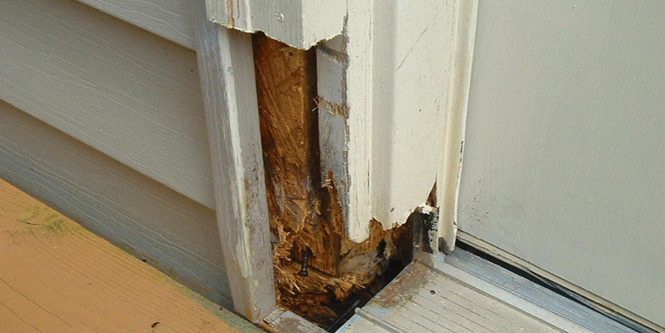 Featured image for Door Frame Rot? Fix It Quick