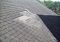 Featured image for Roof Rot Damage? Repair It Now