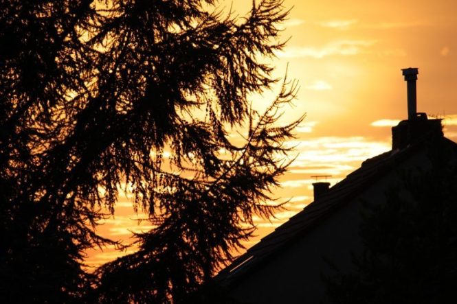 Featured image for Roof Sun Damage? Fix
