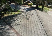 Featured image for DIY Roof Cleaning Pro