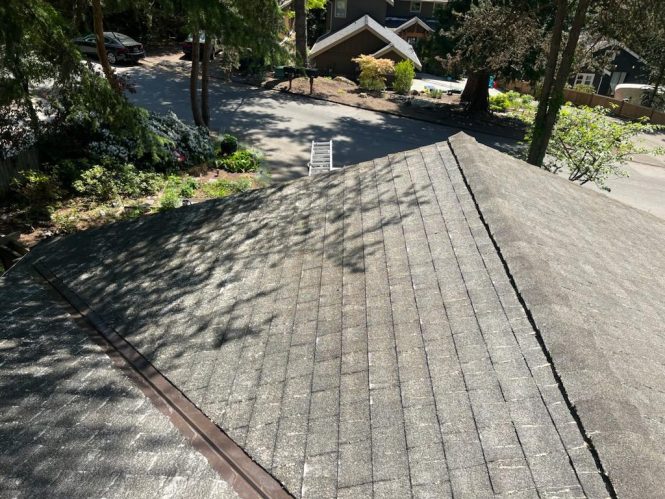 Featured image for DIY Roof Cleaning Pro