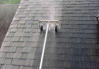 Featured image for Roof Moss Removal DIY