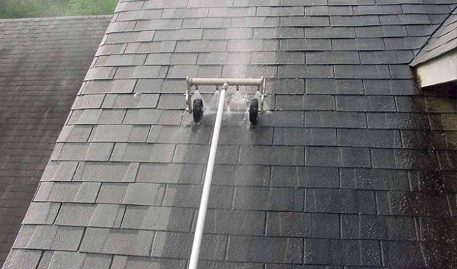 Featured image for Roof Moss Removal DIY
