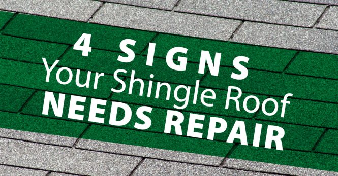 Featured image for Shingle Repair Guide